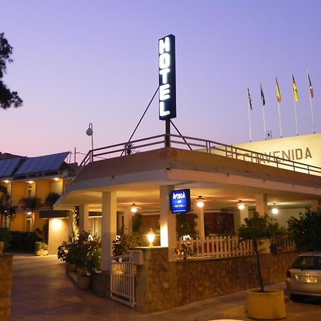 Hotel Ecoavenida Benicàssim Dış mekan fotoğraf