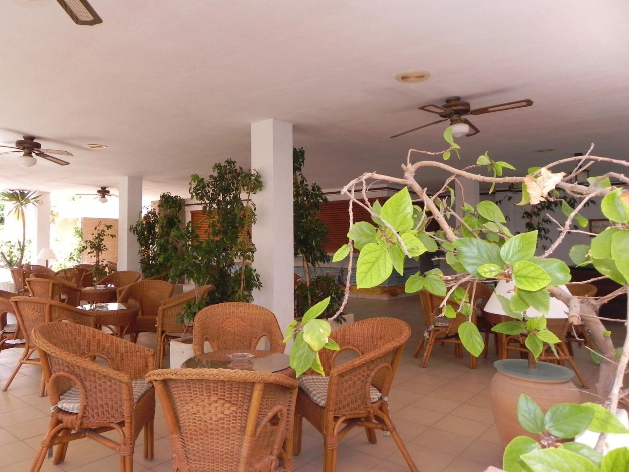 Hotel Ecoavenida Benicàssim Dış mekan fotoğraf
